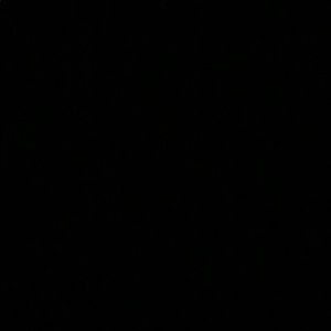 Meet your Posher, Mia